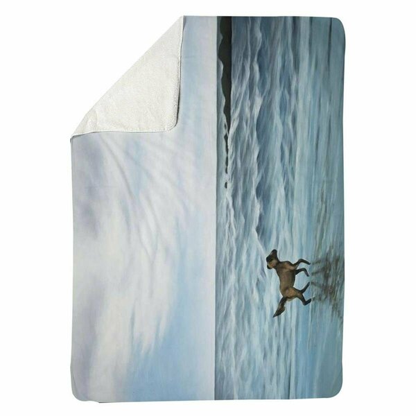 Begin Home Decor 60 x 80 in. Dog on the Beach-Sherpa Fleece Blanket 5545-6080-CO152